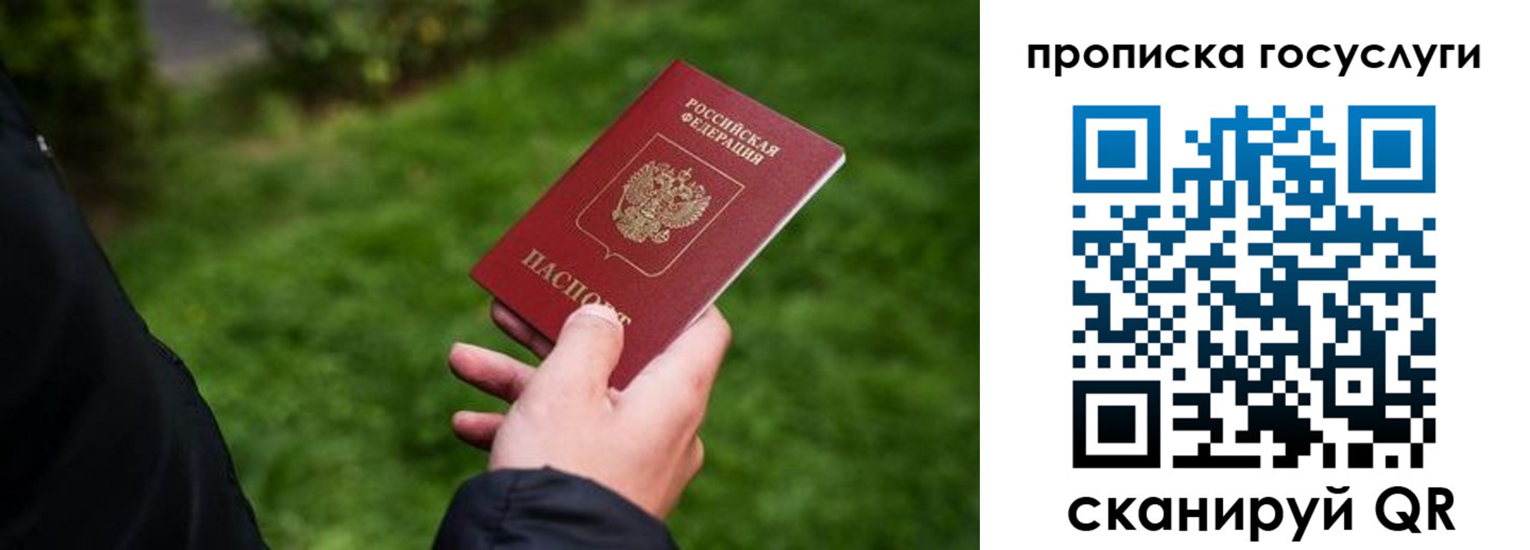 прописка для работы в Можге